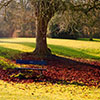 play Jigsaw: Blue Bench