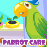 play Parrot Care