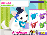 play Chinchilla Pet Care