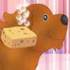 play Cute Pets Carrying