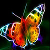 play Adorable Butterfly Slide Puzzle