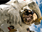 play Astronaut Jigsaw