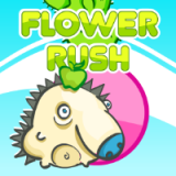 play Flower Rush