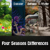 play Four Seasons Differences