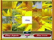 play Sunflower Photo Puzzle