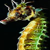play Lonely Sea Horse Slide Puzzle