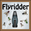 play Flyridder