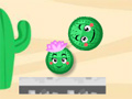 play Cactus Roll
