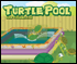 play Turtle Pool