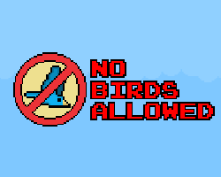 play No Birds Allowed