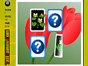 play Flowers Memory Challenge