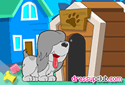 play Dog Pets