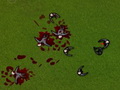 Zombie Carnage