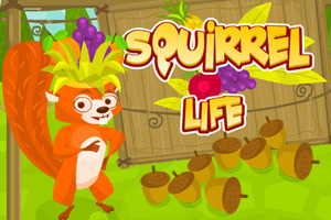 play Squirrel Life