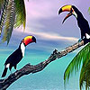 play Two Toucan In The Sea Slide Puzzle