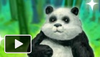 play Pet Panda