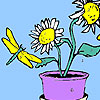 play Helianthus Flowers And Flies Coloring