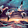play Flying Birds At Night Slide Puzzle
