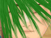 play Crazy Real Haircuts