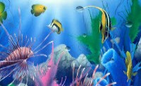 play Aquarium Hidden Letters