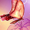 play Fantastic Butterflies Hidden Numbers