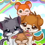 play Pretty Pet Care