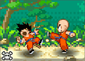 play Dragonball Fighter