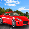 play Forest Drift