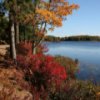 play Maine Jigsaw