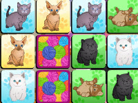 play Cats Memo