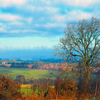 Jigsaw: England Landscape