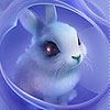 play Blue Pretty Rabbit Slide Puzzle