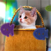 play New Kitten Home