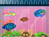 play Fish Tank Decoration