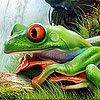 play Frog In The Waterfall Puzzle