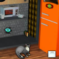 play 20 Rings Escape