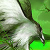 play Flying Large Wing Puzzle