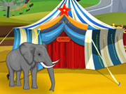 play Elephant Circus