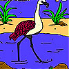 Flamingo In The River Coloring