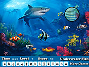 play Fish Hidden Letters