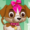 play Pets Beauty