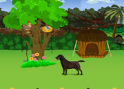 play Hen Escape