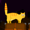 play Orange Cat Adventure