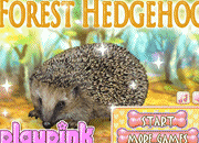 play Awesome Hedgehog