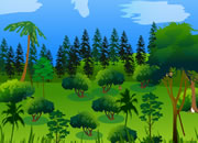 play Rain Forest Escape