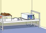 play Bosuneko Escape