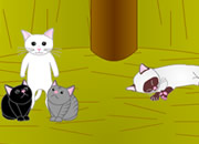 play Jewel Of Ketchum