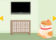 play Beginner Course