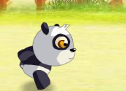 play Panda Race The Tortoise