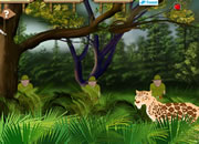 play Amur Leopard Survival
